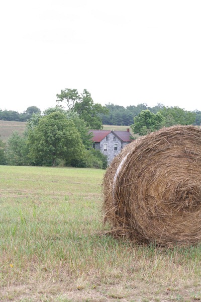 on-the-farm-160