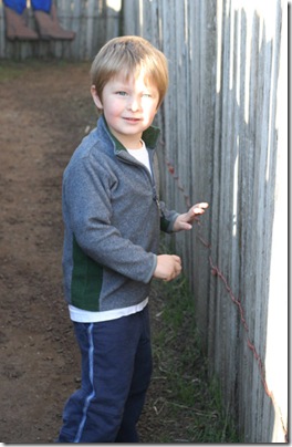 pumpkin-patch-067