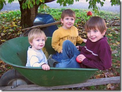 pumpkinpatch06
