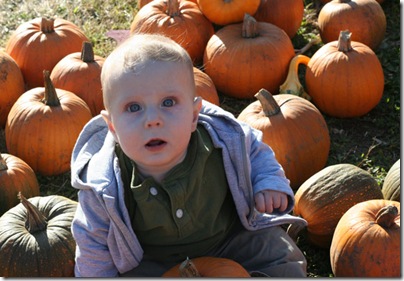 pumpkin-patch-114