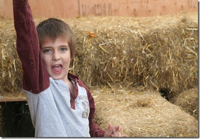 pumpkin-patch-180