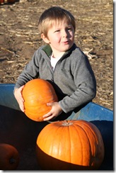 pumpkin-patch-228
