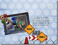 Rough-and-Tumble
