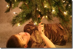 tree2