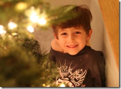 tree3