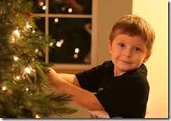tree4