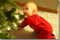 tree5
