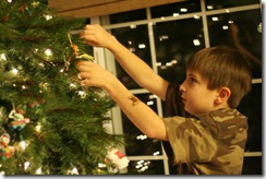 tree7