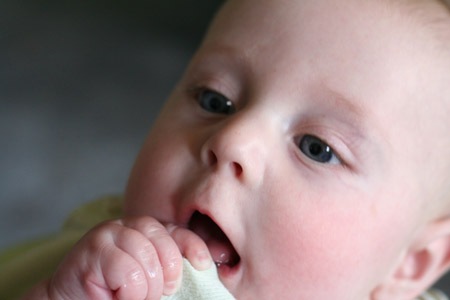 5monthsold4