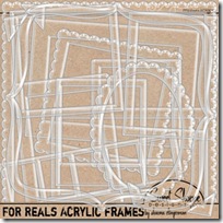 1-shawnaclingerman-forrealsacrylicframes