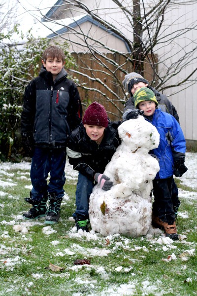snow7