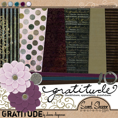 sclingerman-gratitude-preview.jpg
